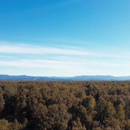 Au Pied Des Monts-Valin, Hebergement Touristique Saint-Honore Bagian luar foto